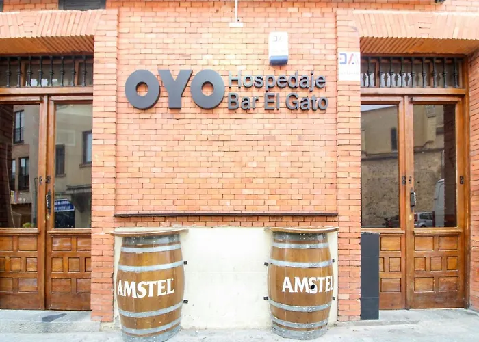 Oyo El Gato 2* 塞哥维亚